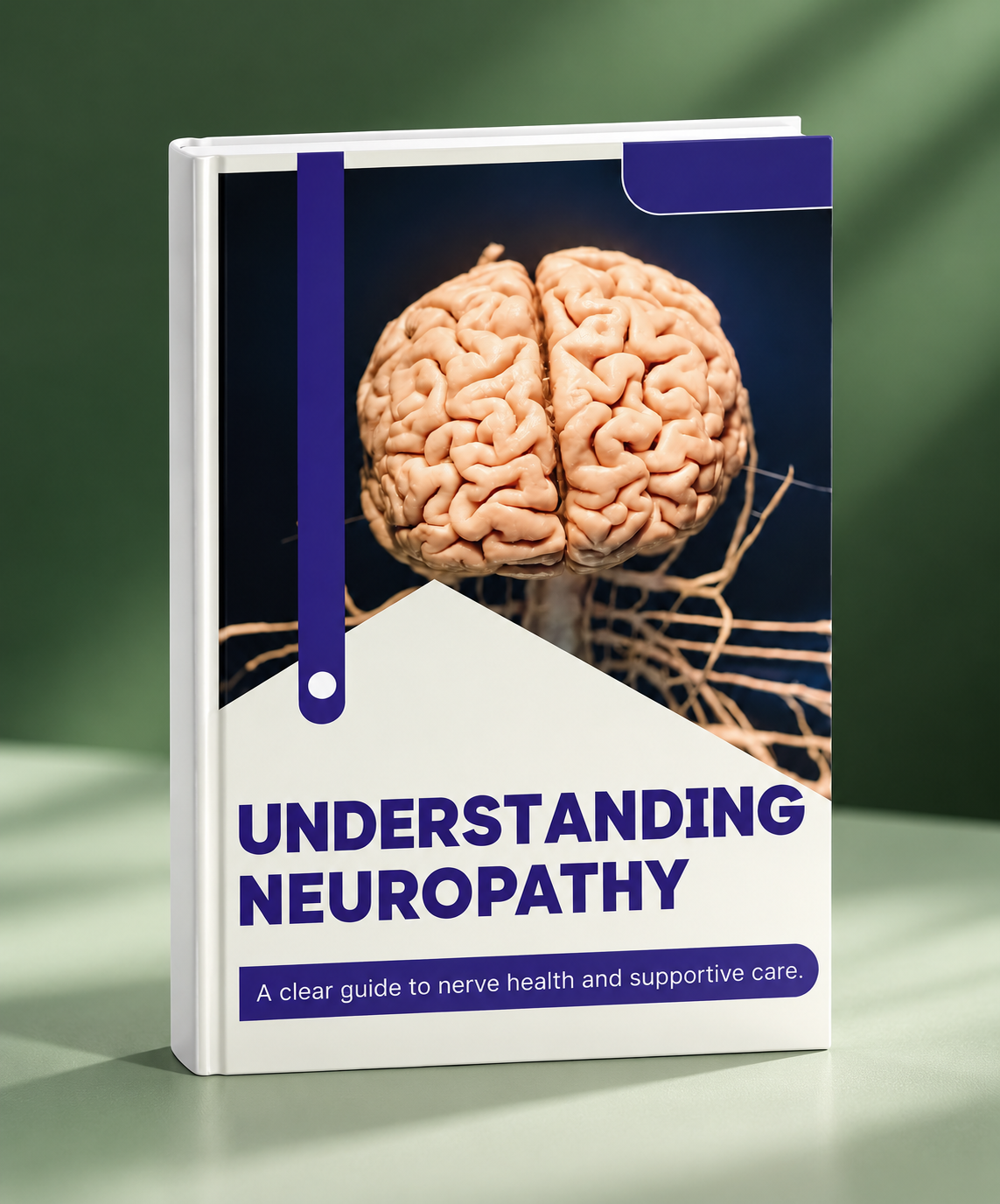 Chiropractic e-book cover 1