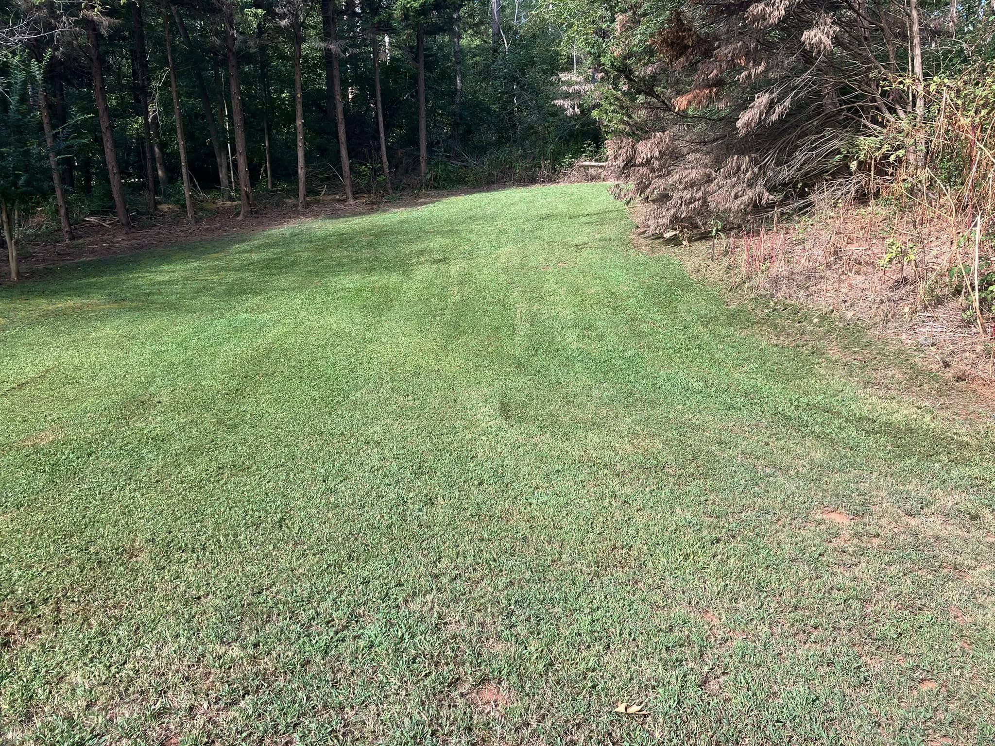 Manicured lawn by Lawn Services Del Valle LLC