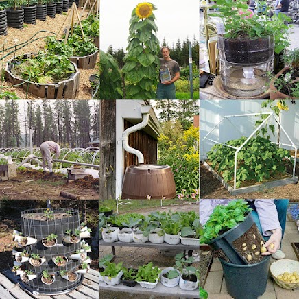 Inside pages from The Self-Sufficient Backyard guide