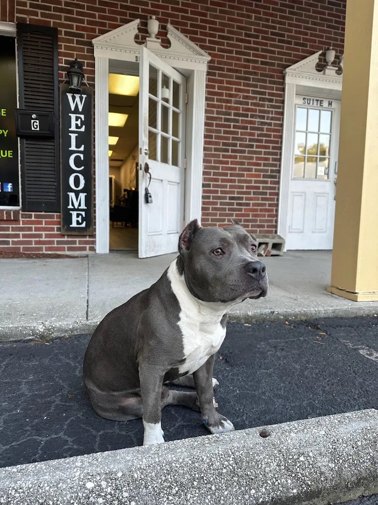 Sports Massage Therapy