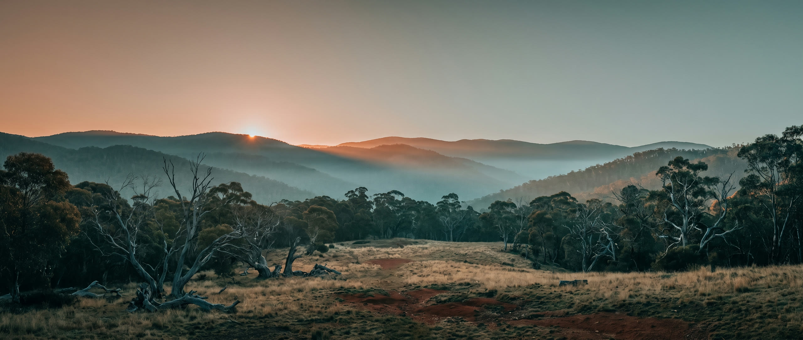 Sabre riflescope on a rifle at first light in Australian high country