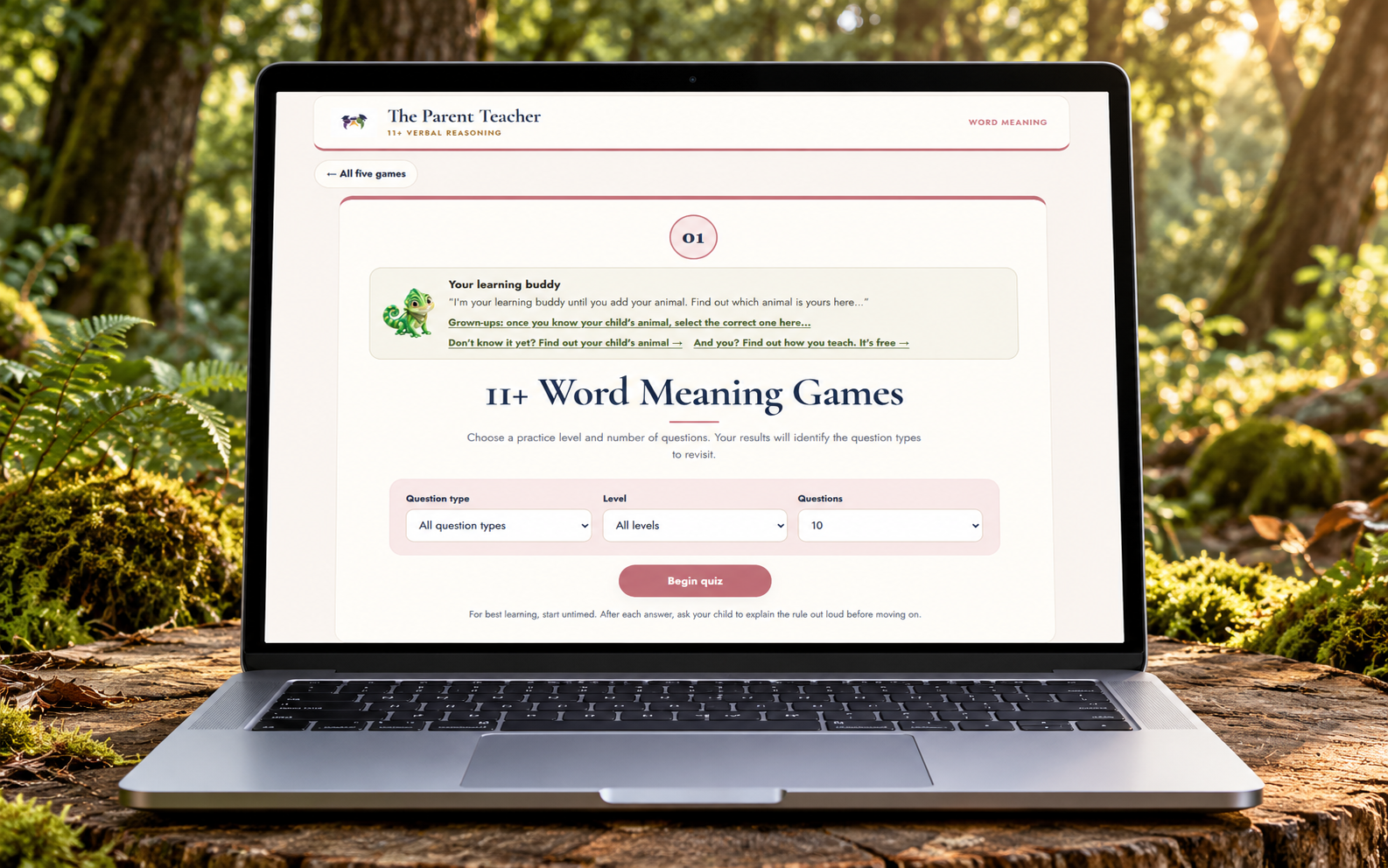 11+ online activities