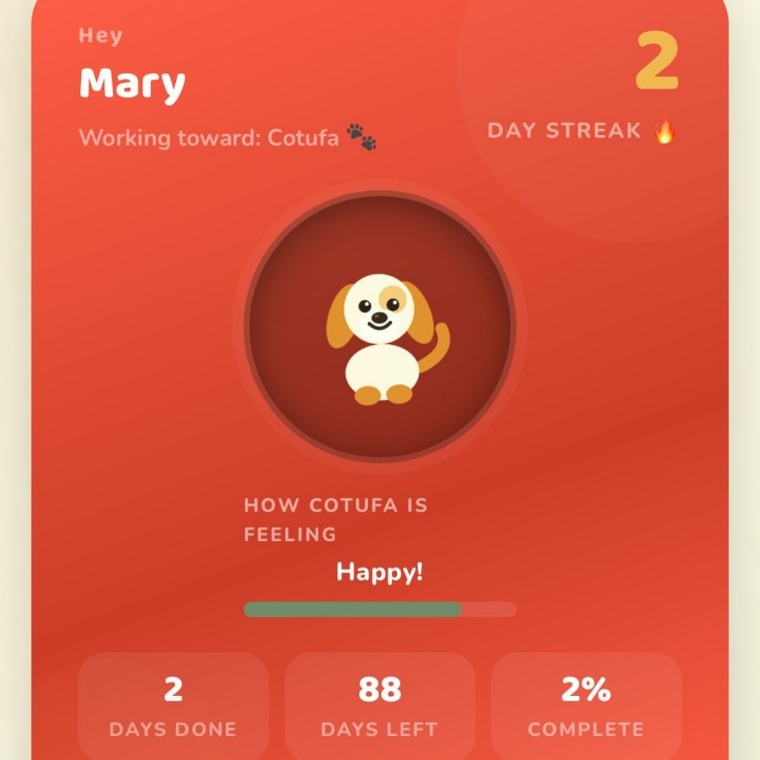 The 90 Day Challenge home screen