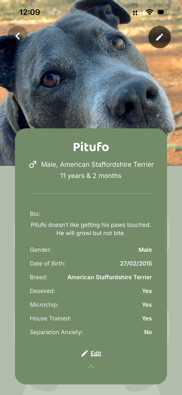 App Preview 2