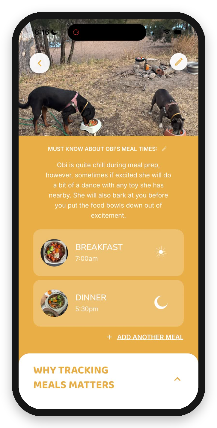 Obi's meals in The Paws We Love app