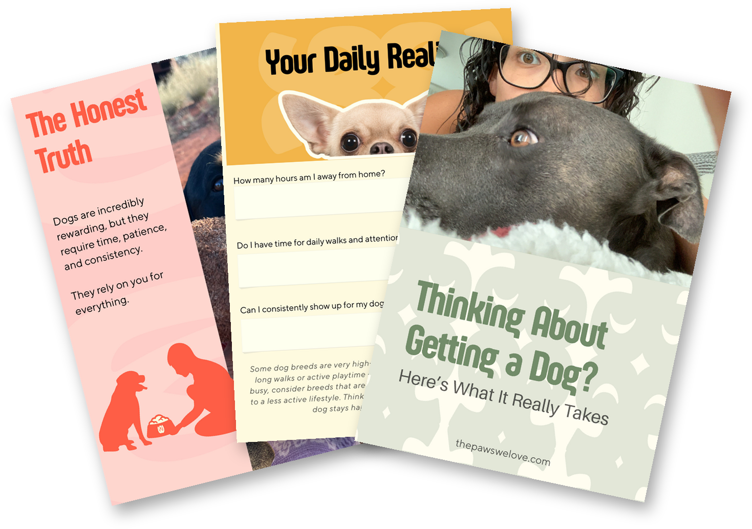 Thinking About Getting a Dog?