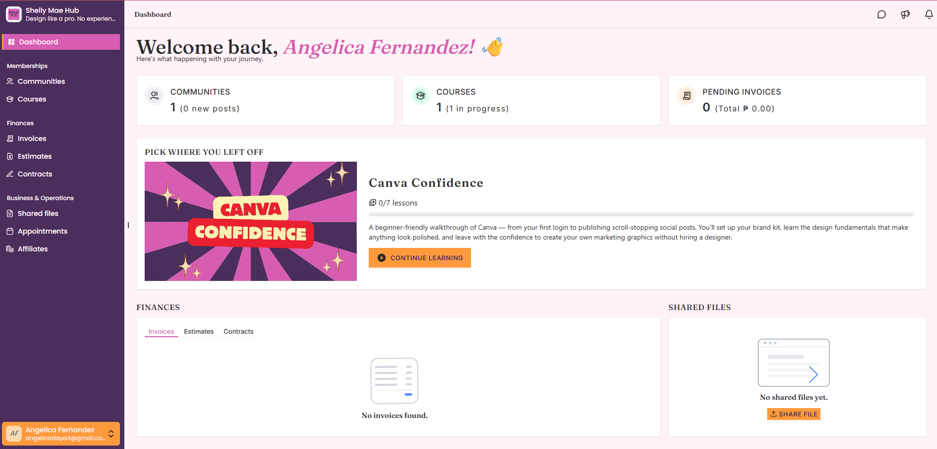 Fully Branded GoHighLevel Client Portal
