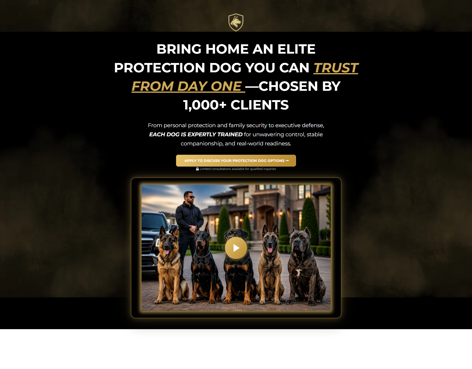 Video Sales Letter (VSL) Page