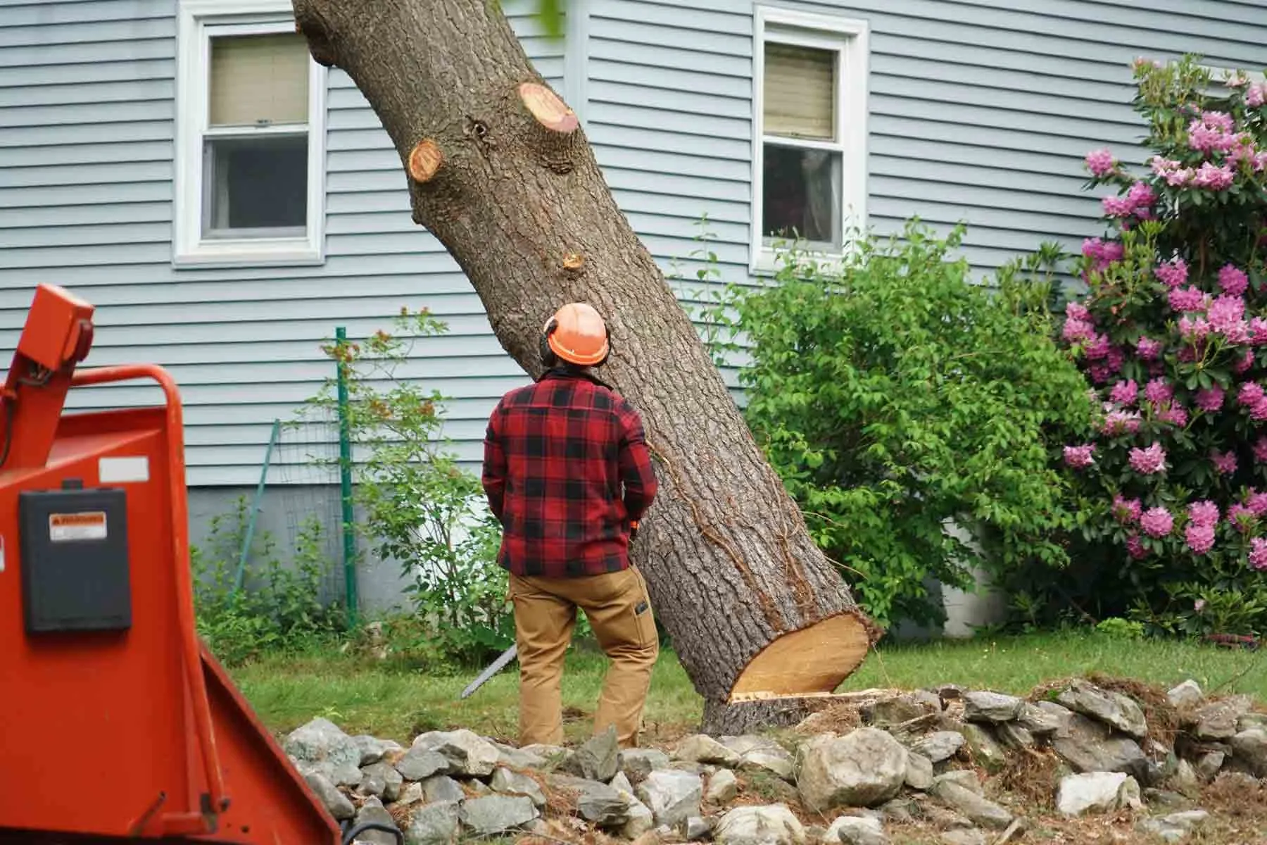 Emergency tree removal Montgomery