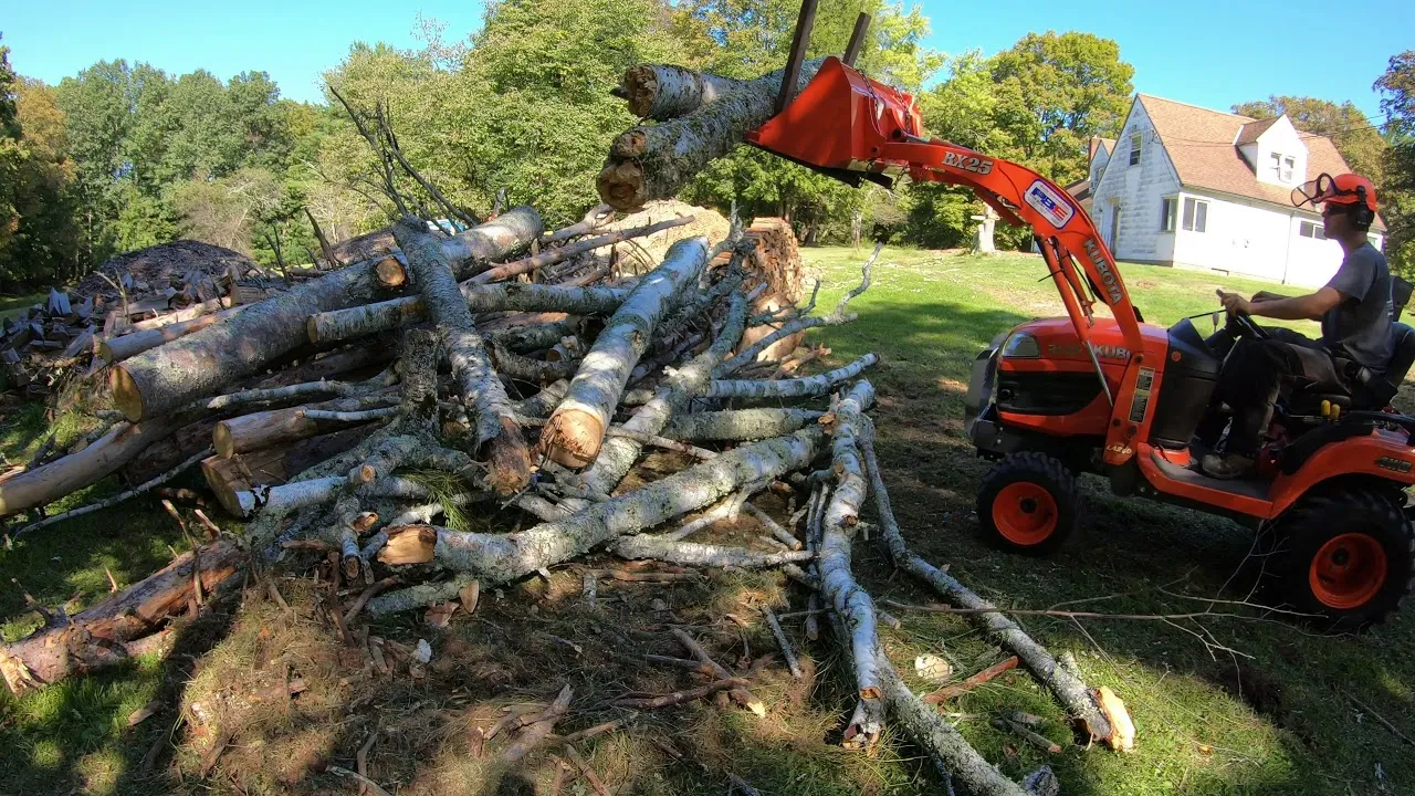 Dead tree removal in Montgomery IL
