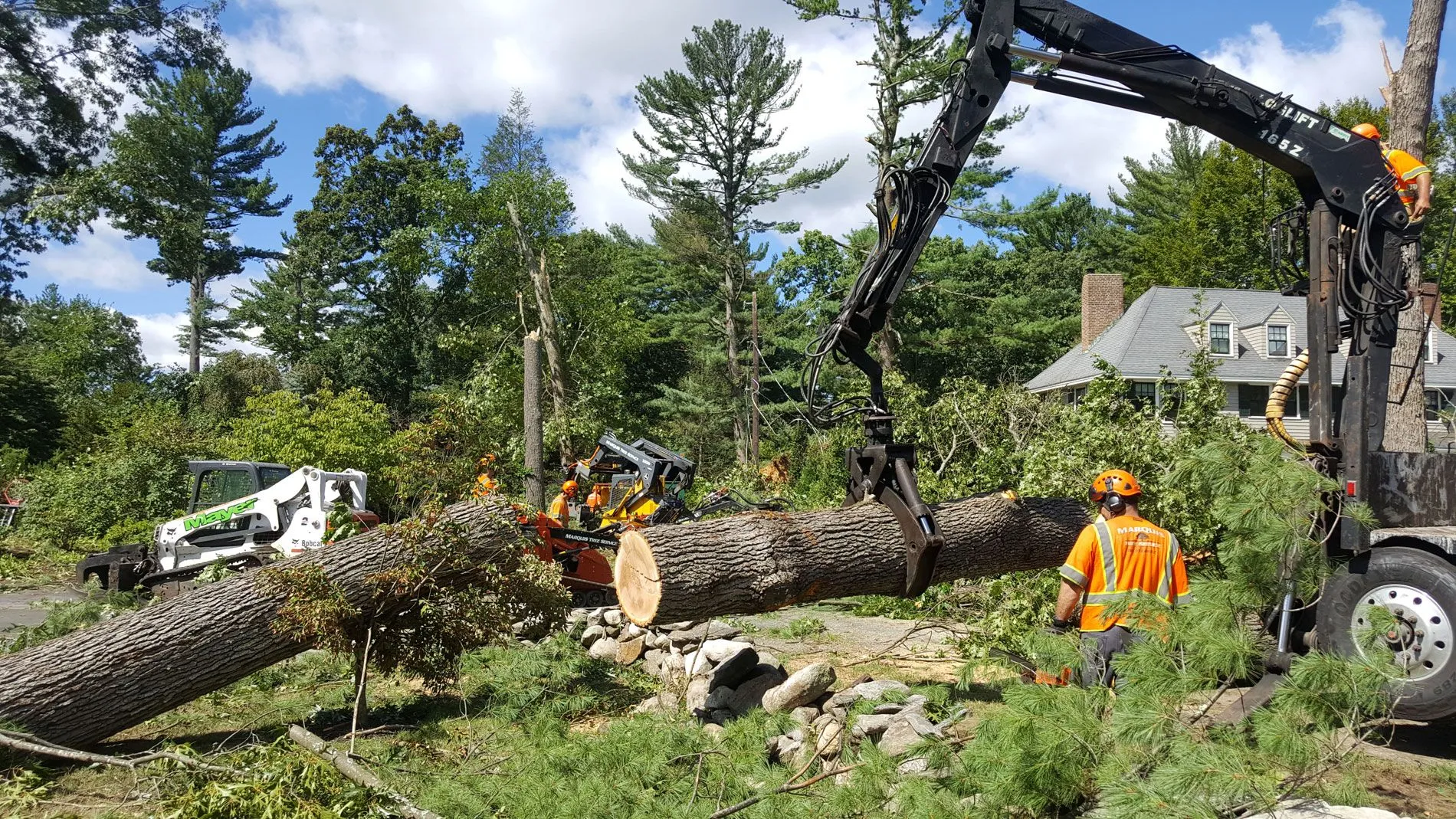 Commercial tree removal Montgomery