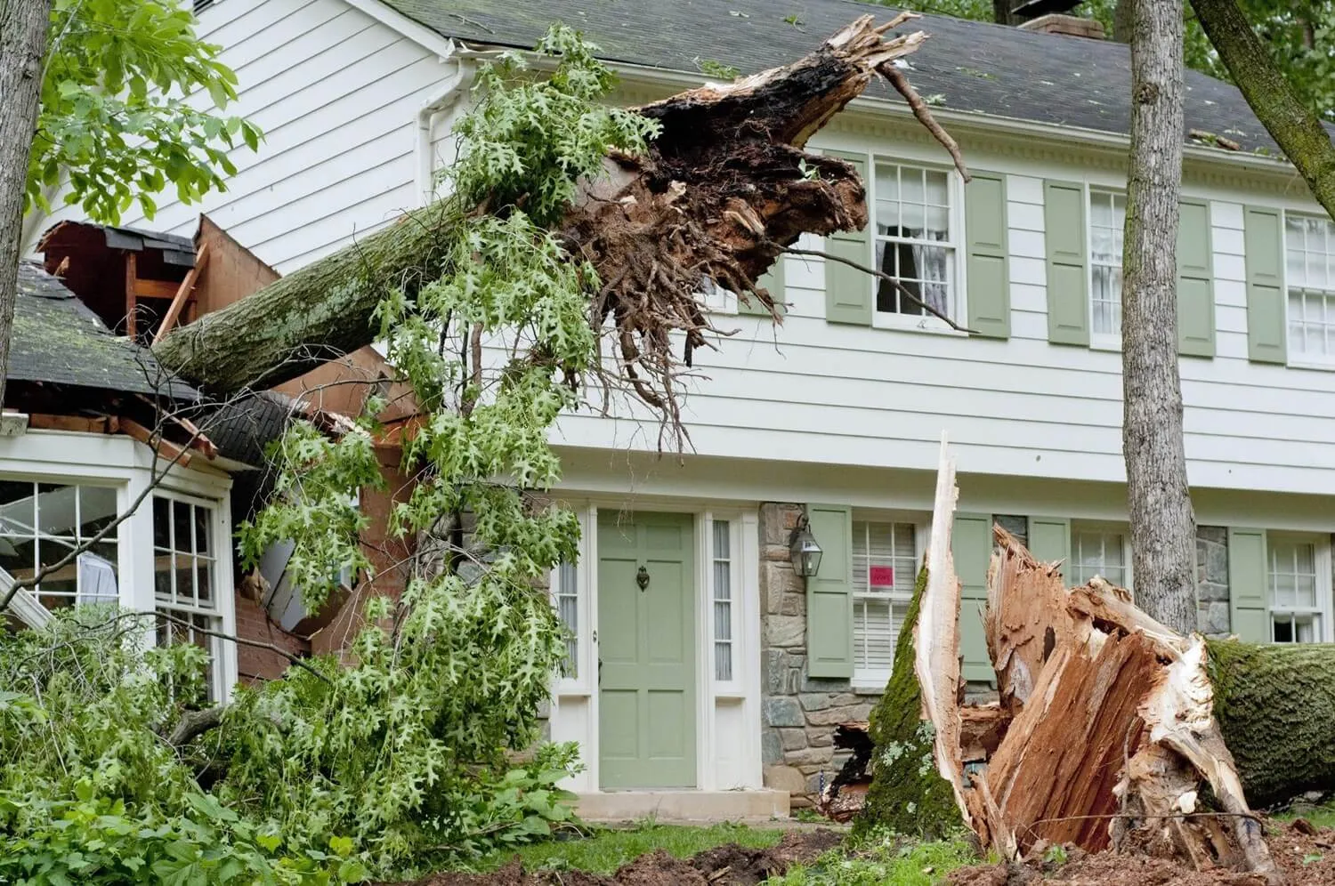 Storm damaged tree removal Montgomery IL
