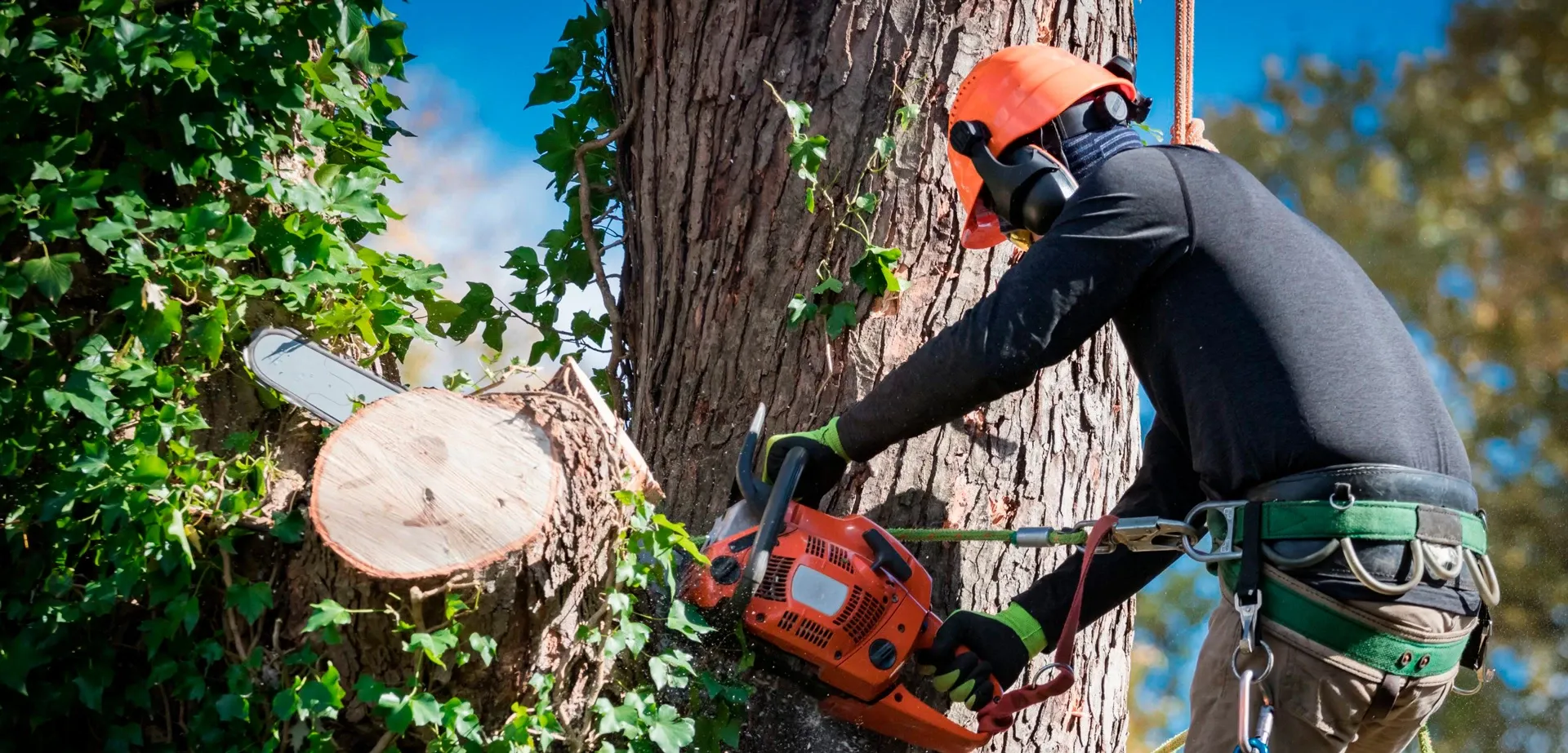 Residential Tree Pruning Montgomery IL