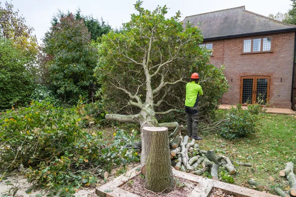 Residential Tree Trimming Montgomery