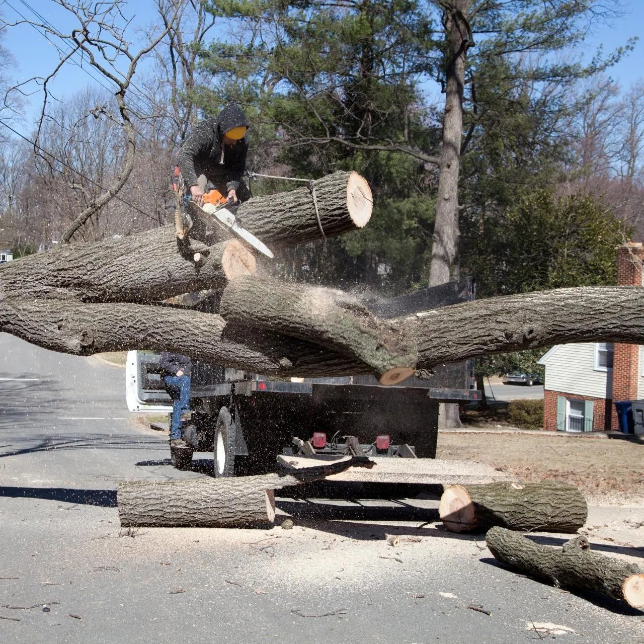 Fallen Tree Cleanup in Montgomery IL