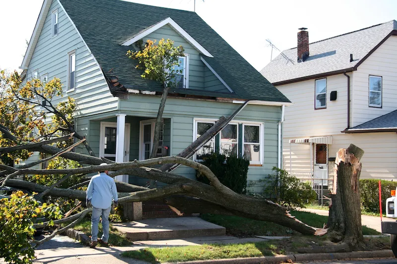 Wind Damage Cleanup Montgomery