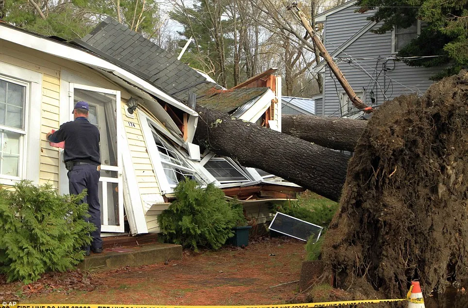Storm-Damaged Tree Removal Montgomery