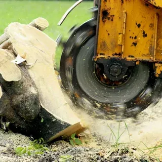 Multiple Stump Grinding Montgomery IL
