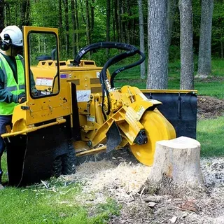 Old Stump Grinding Montgomery IL