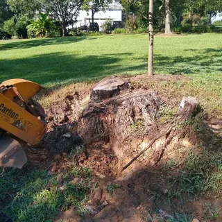 Large Stump Grinding Montgomery