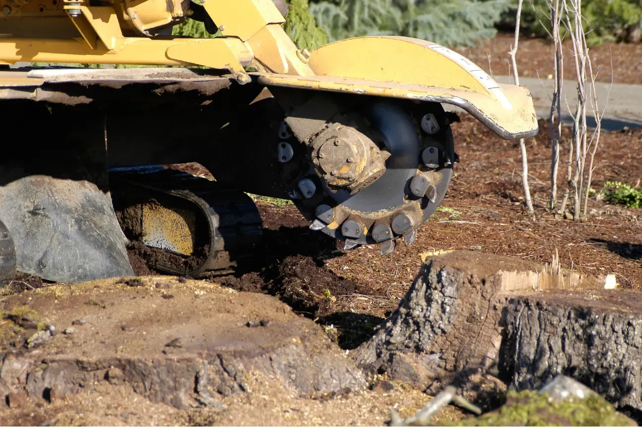Residential Stump Grinding Montgomery IL