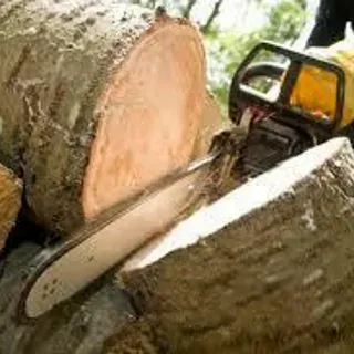 Stump Grinding After Tree Removal Montgomery IL