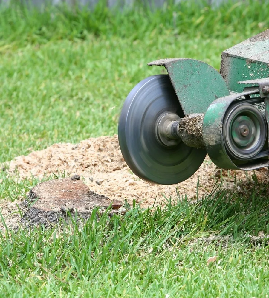 Small Stump Grinding Montgomery IL