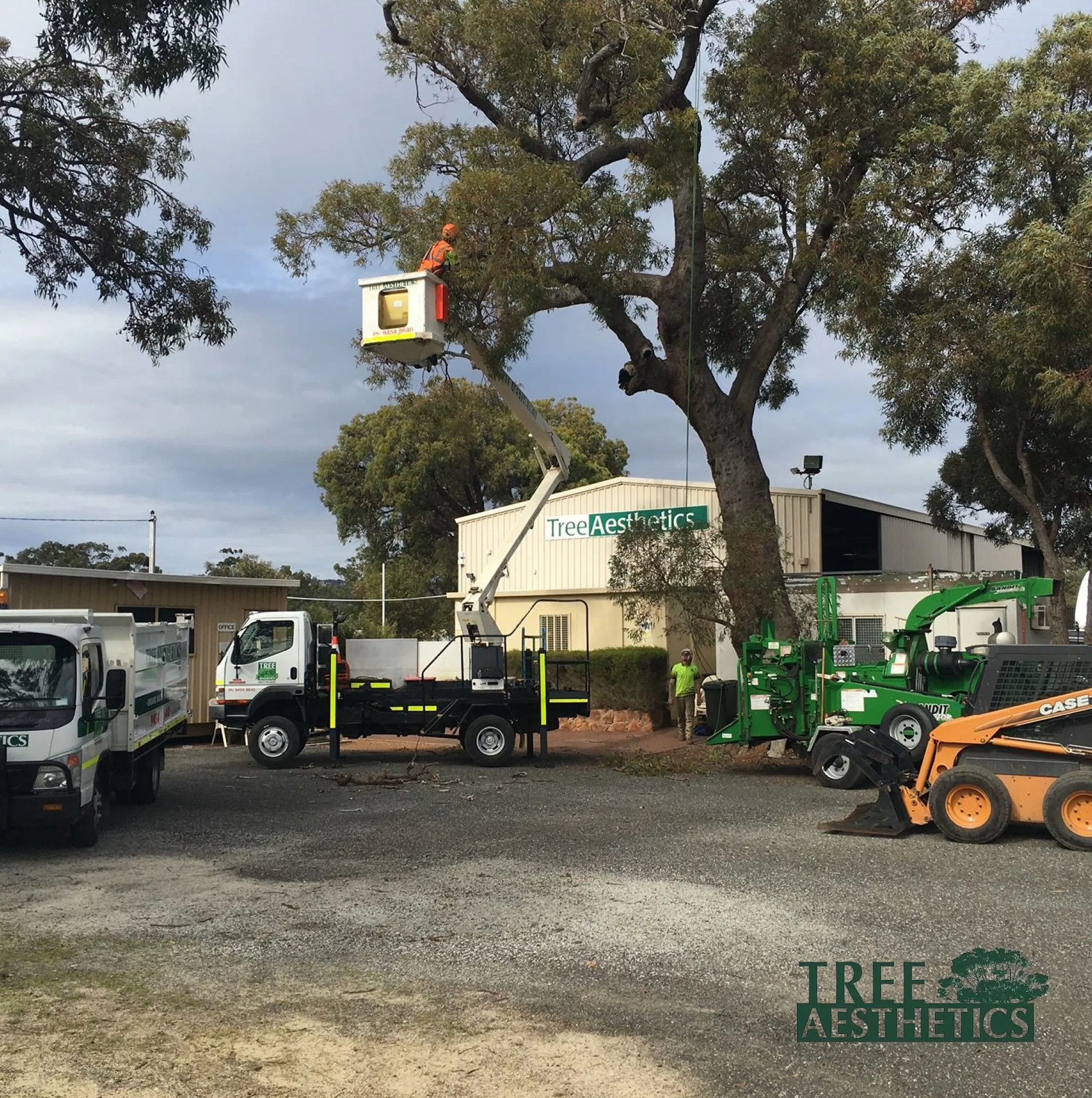 Commercial Tree Contractors in Lemont