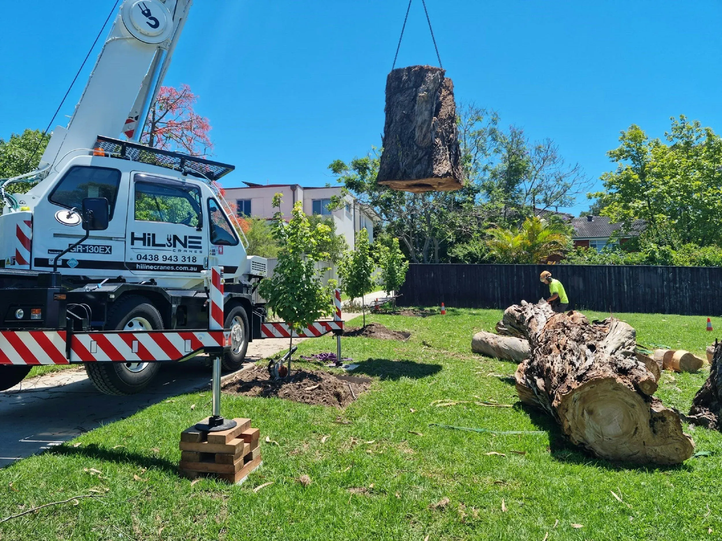 Storm Tree Cleanup & Property Clearing in Romeoville