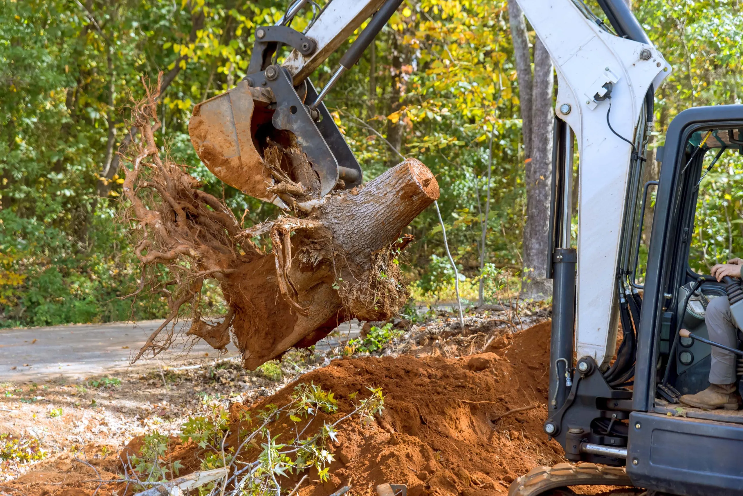 Emergency Tree Cleanup in Wheaton, IL