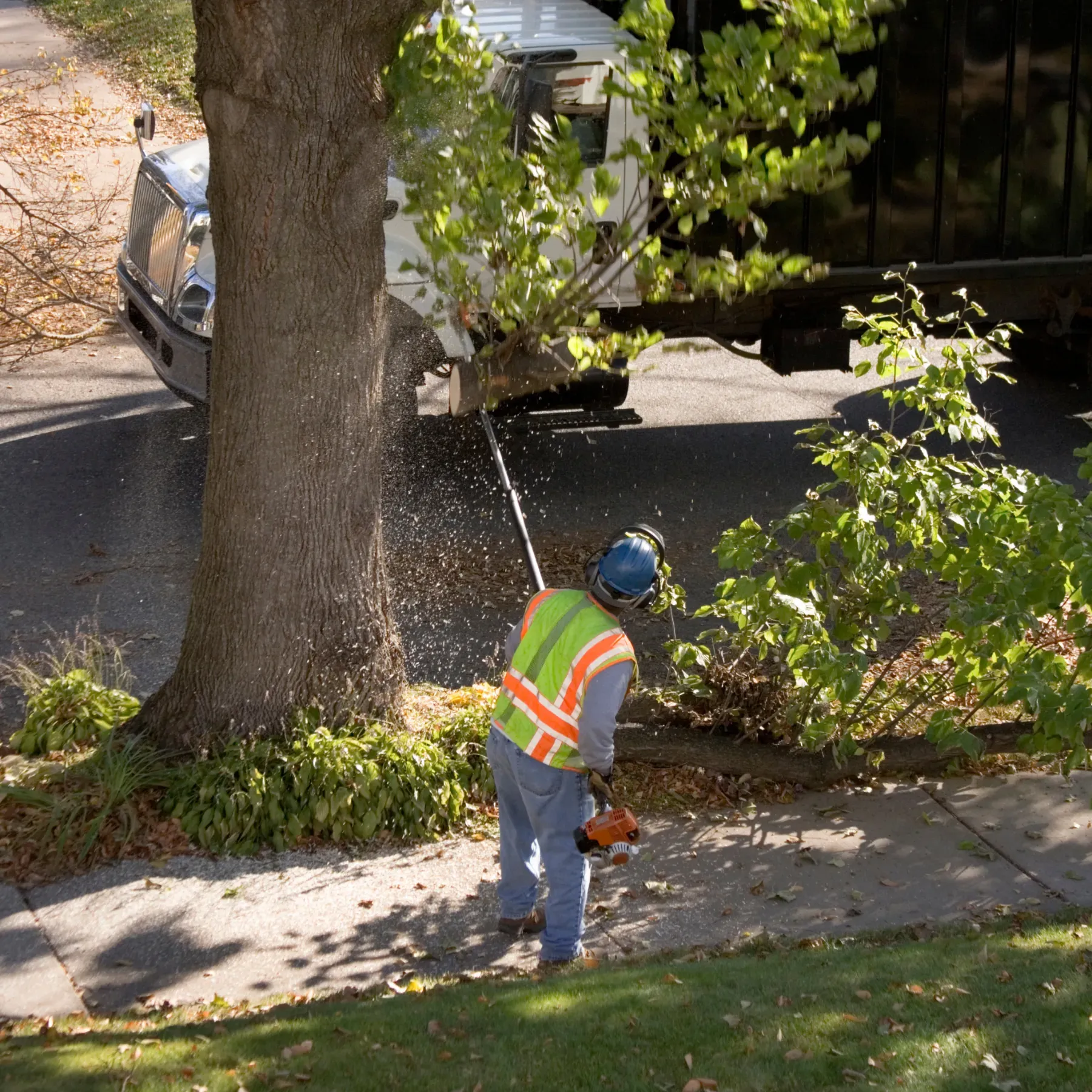 Business Property Tree Maintenance in Downers Grove