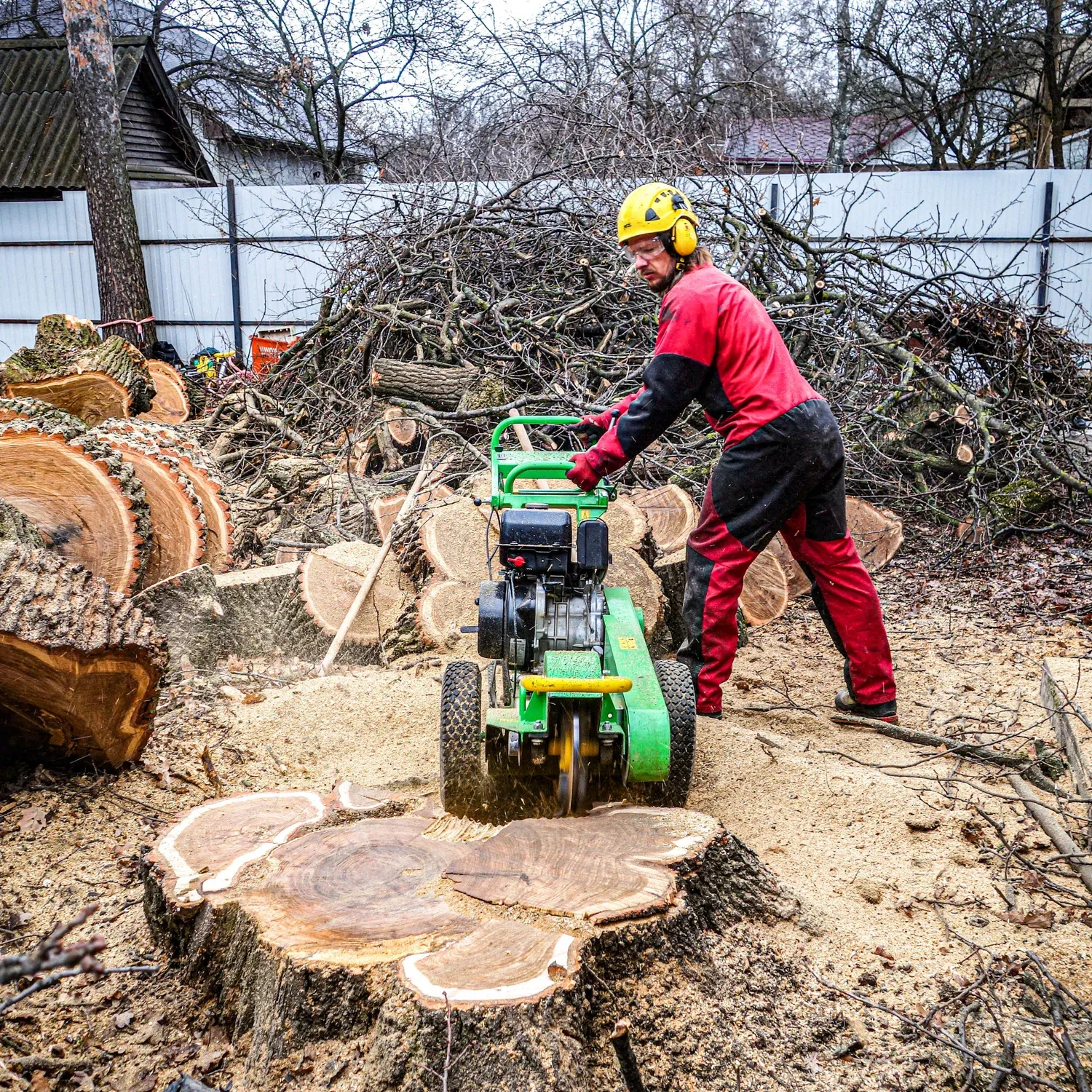 Commercial Tree Services in Homer Glen, IL