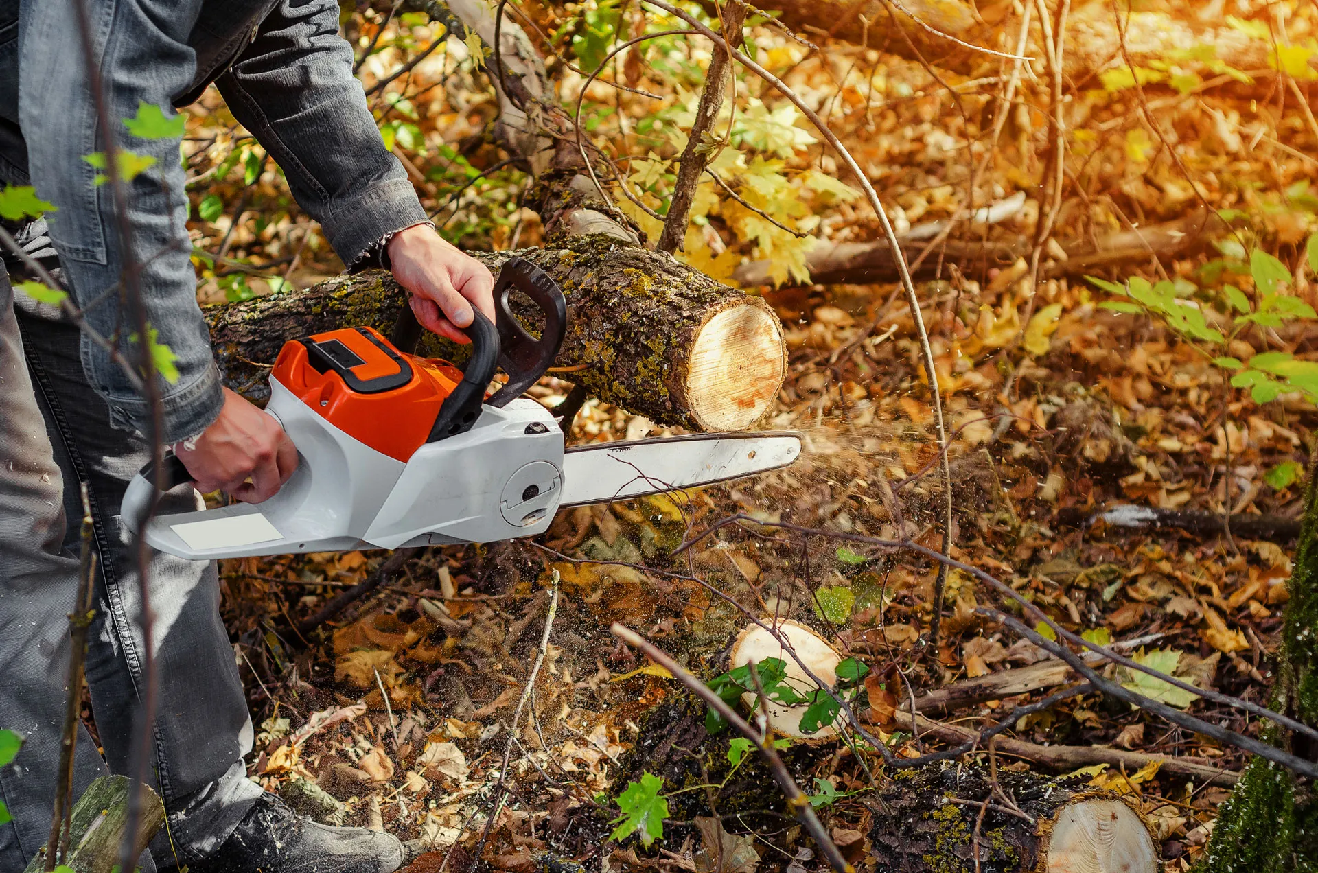 Tree & Yard Services in Darien, IL