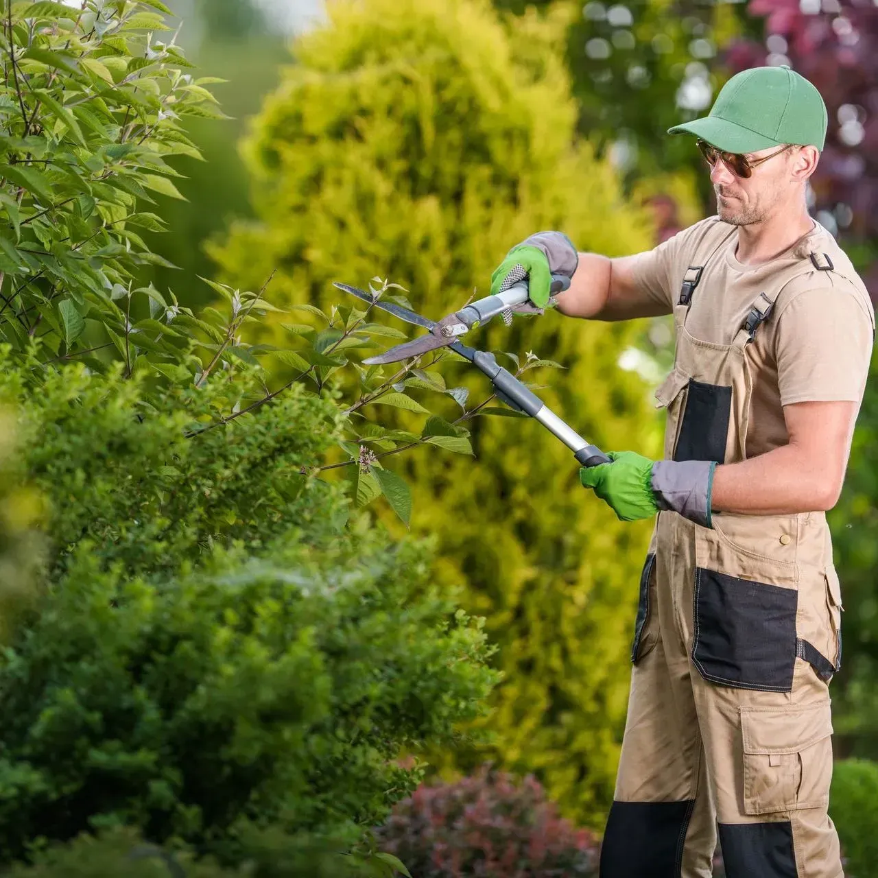 Residential Tree Professionals in Glen Ellyn