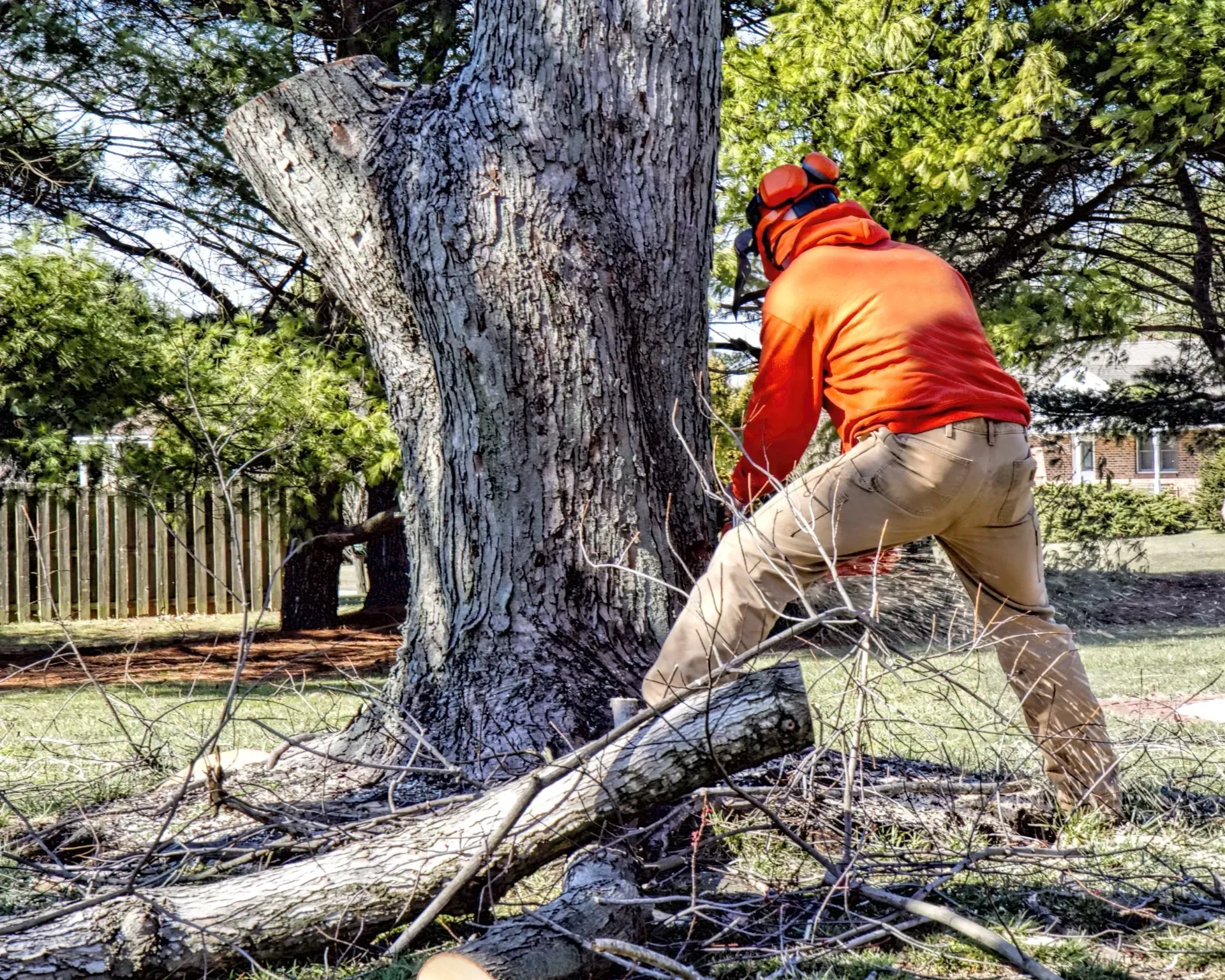 Emergency Tree Service & Land Clearing in Hinsdale