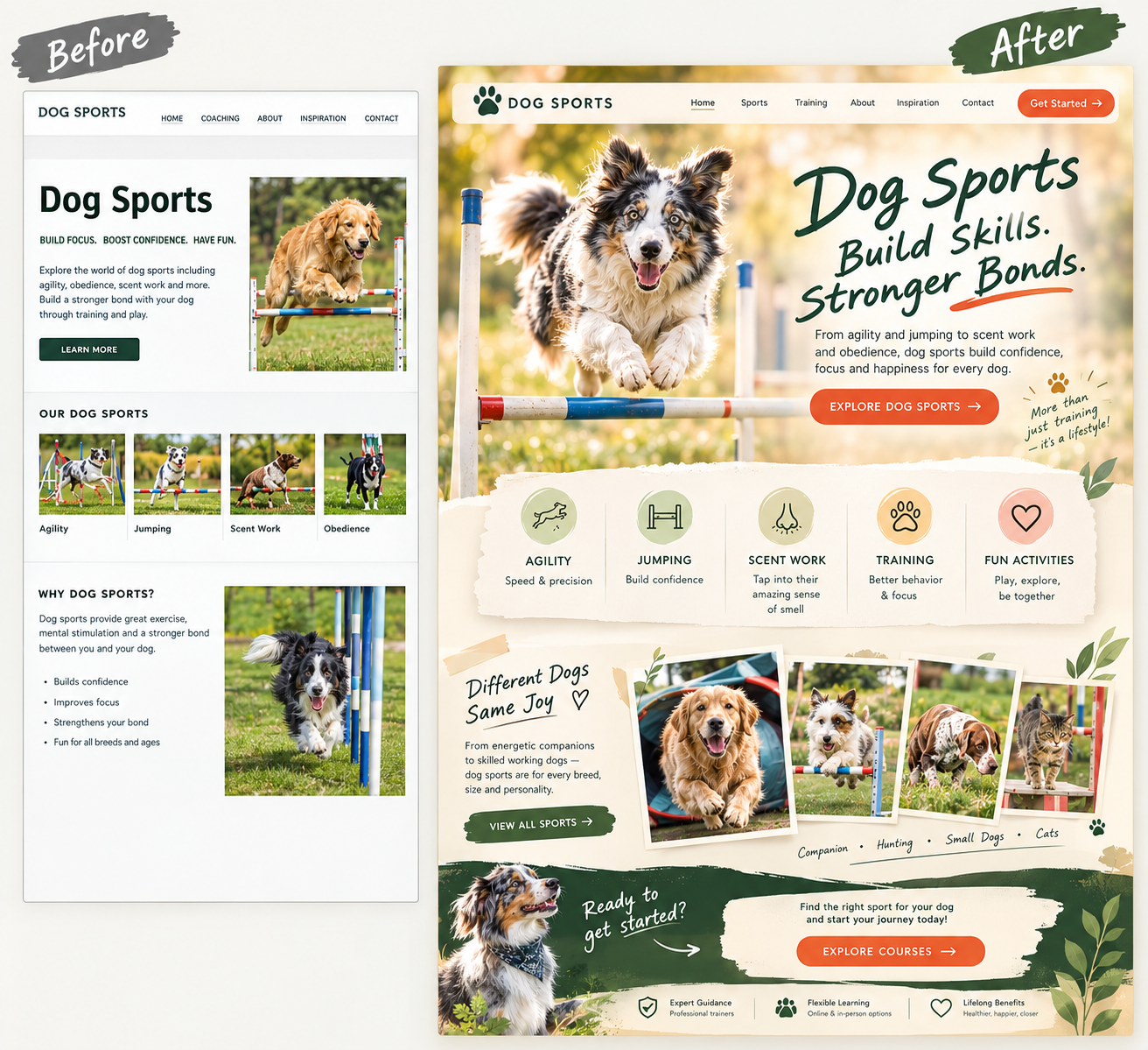 Dog Sport that build skills stronger bonds, Websites