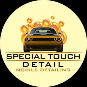 Special Touch Detail logo