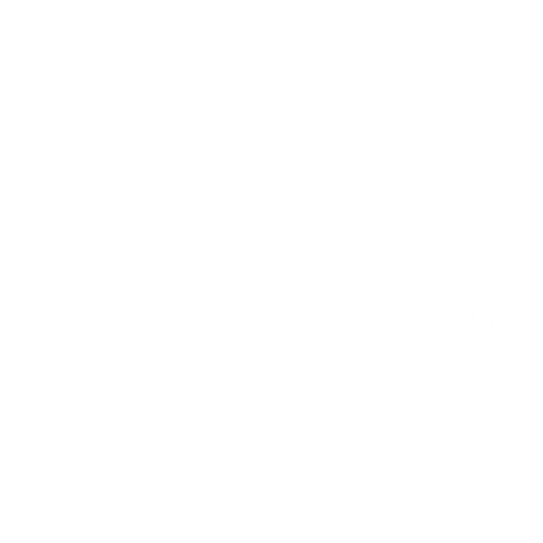 EverBright Permanent Lights