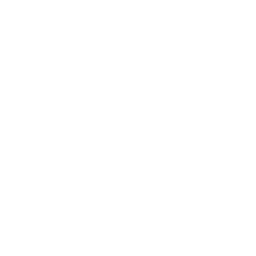 Precision K9 Shaping
