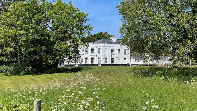 The Retreat New Forest seen across a wildflower meadow