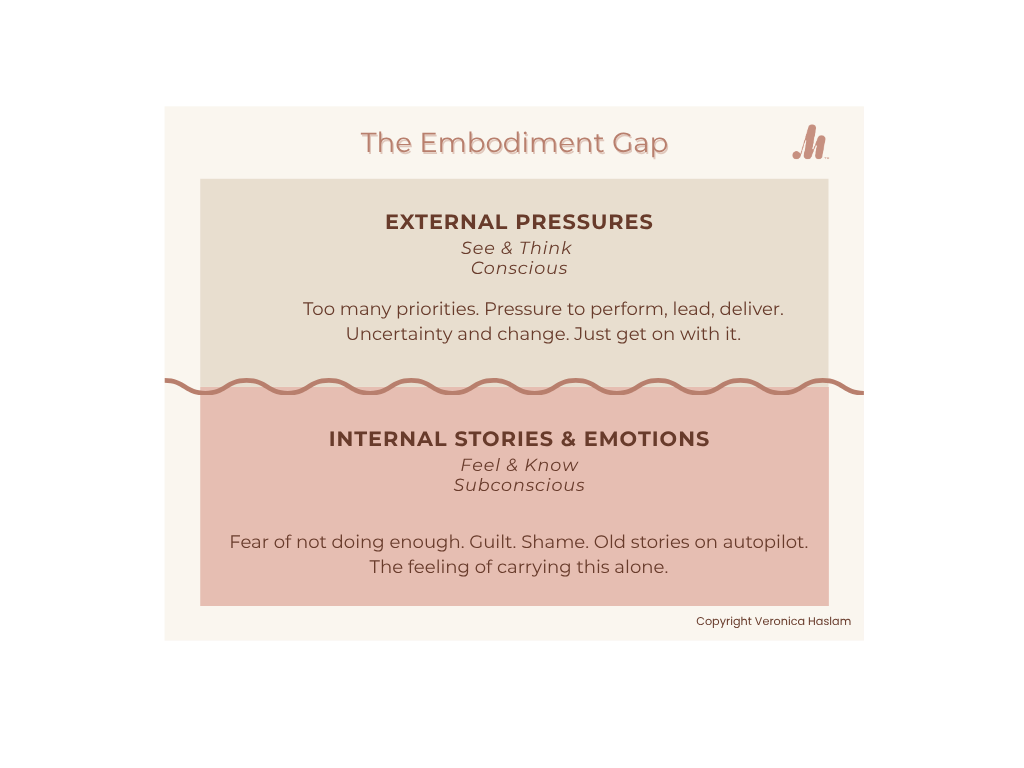 The Embodiment Gap