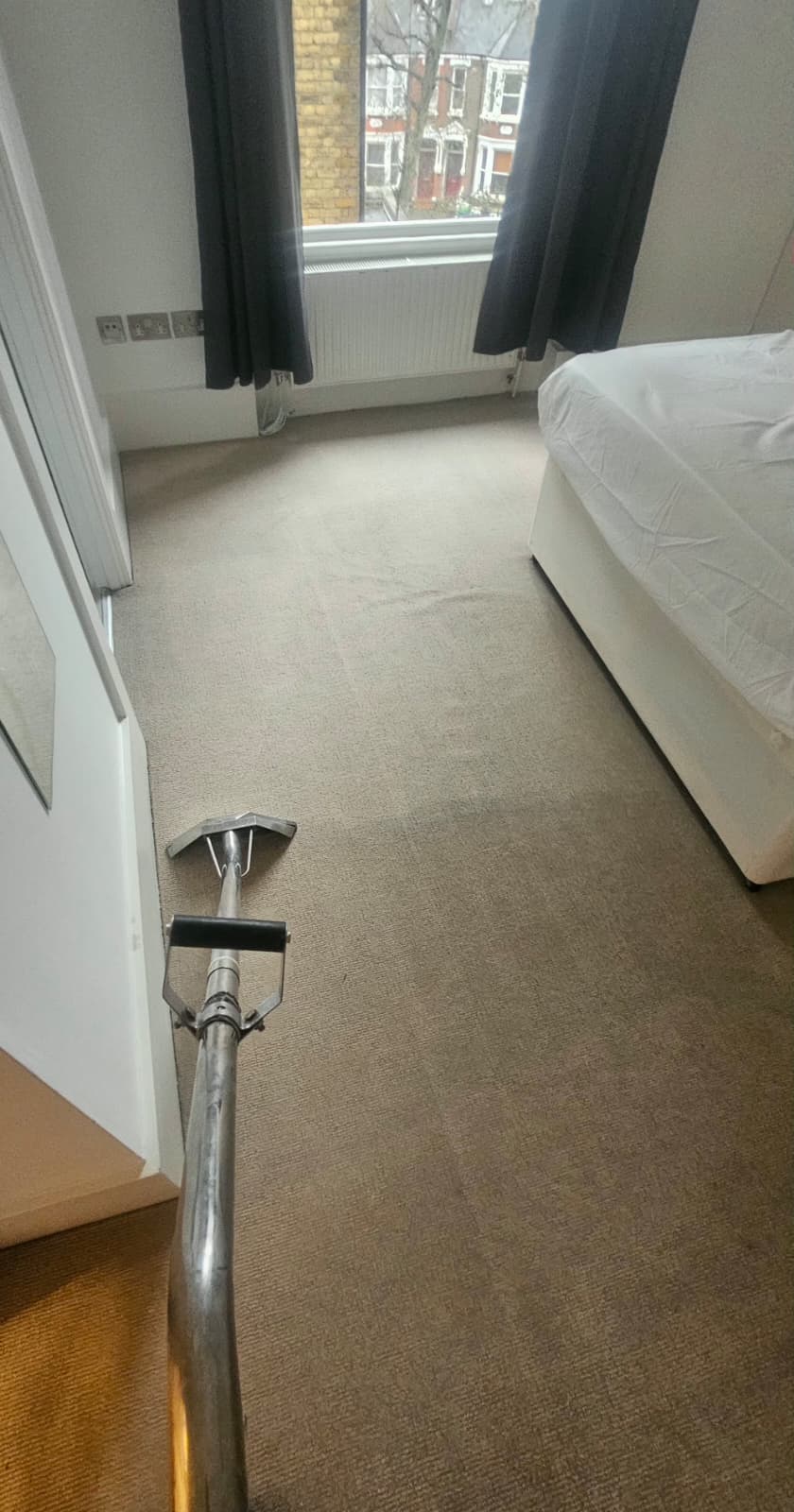 Carpet cleaning