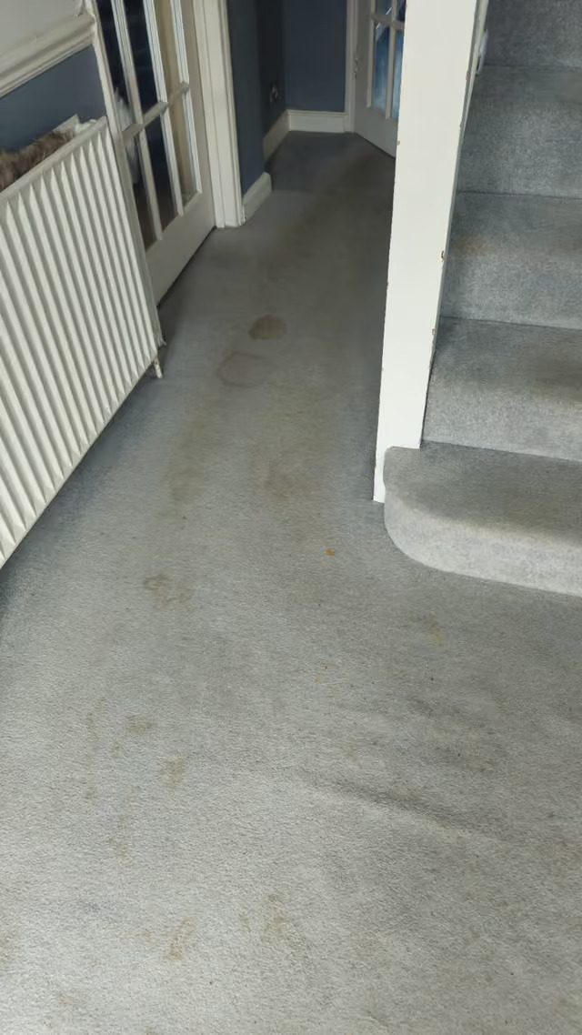 Before cleaning