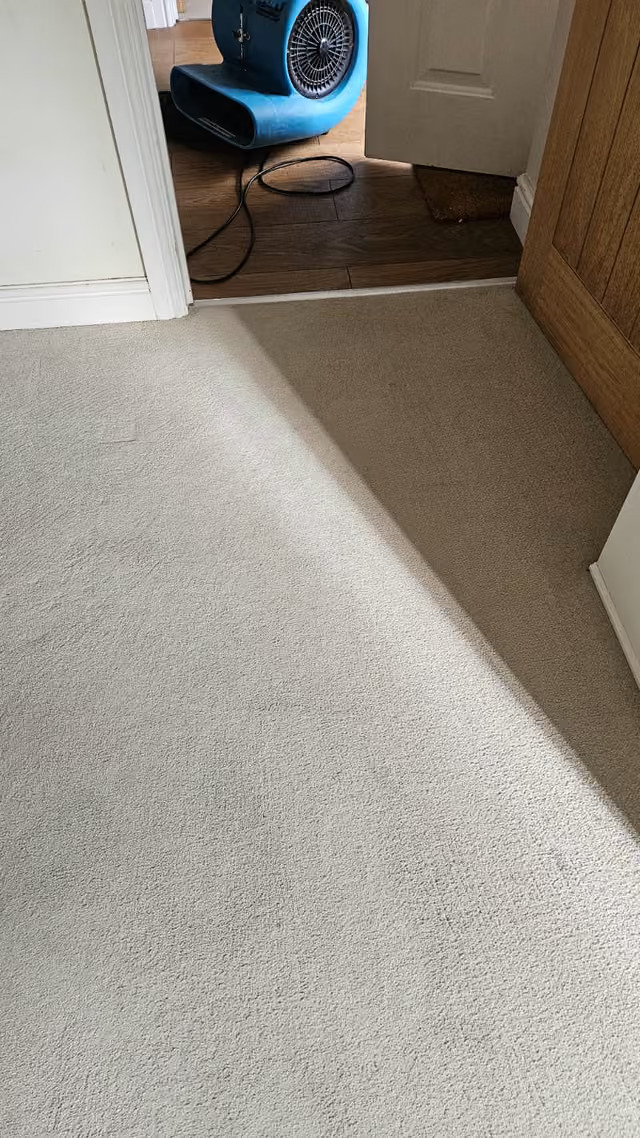 After cleaning
