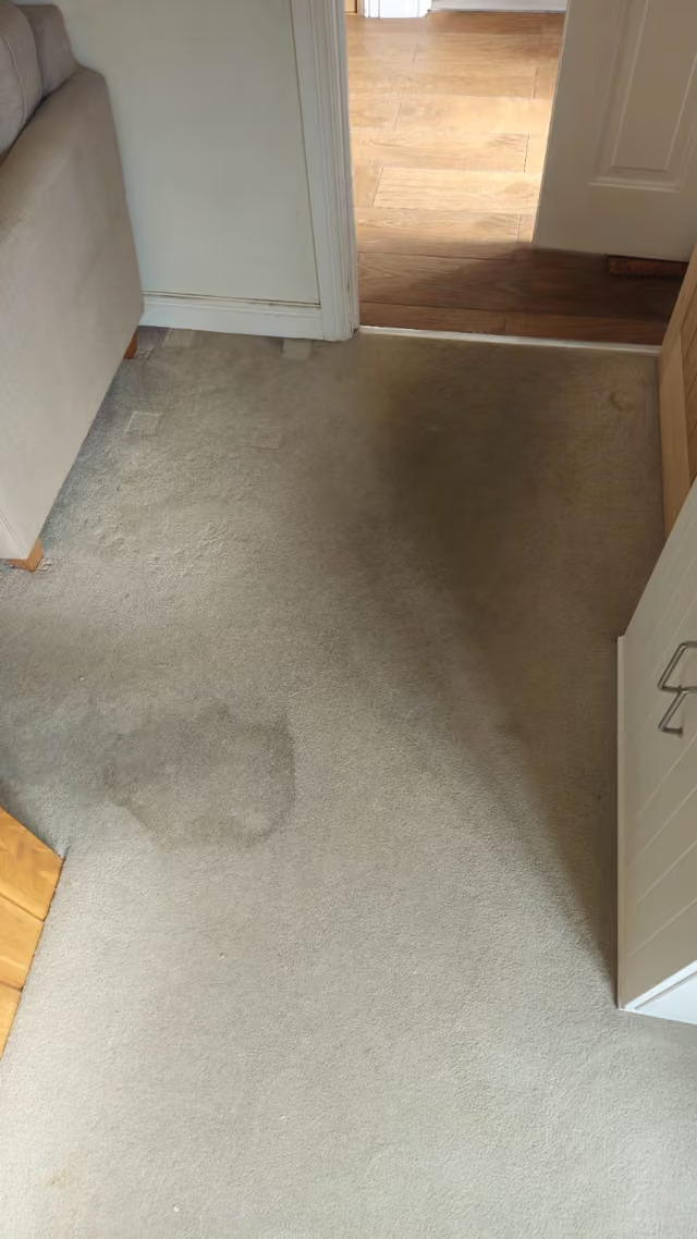 Before cleaning
