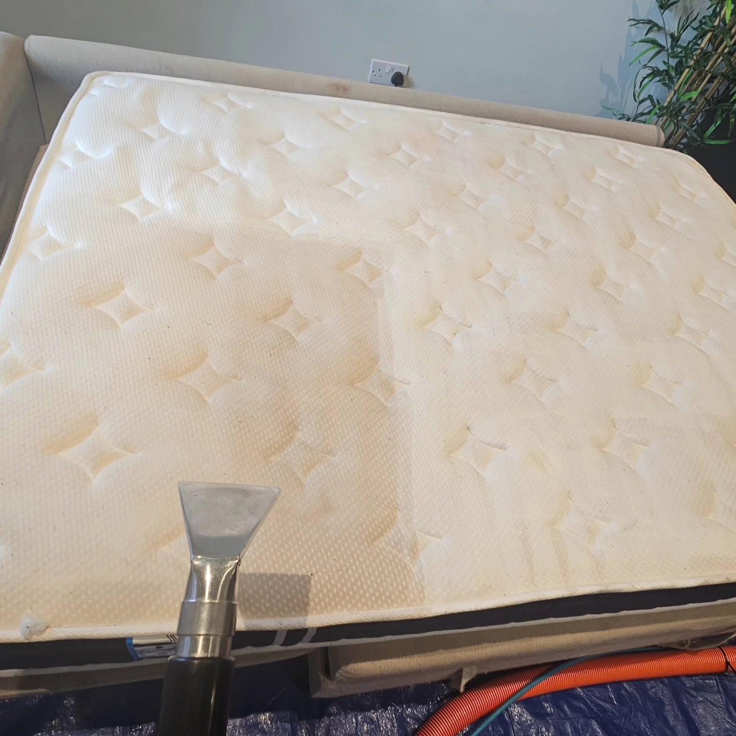 Recent cleaning work 7