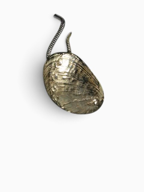 Abalone Shell Pendant