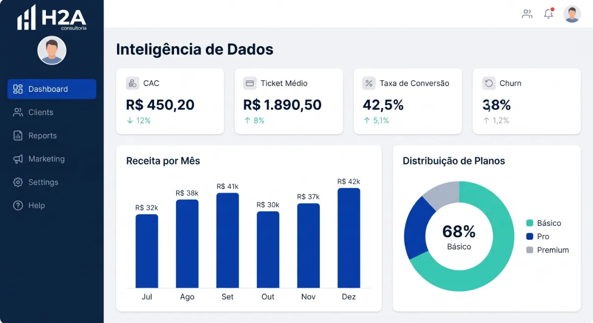Painel de Inteligência de Dados H2A