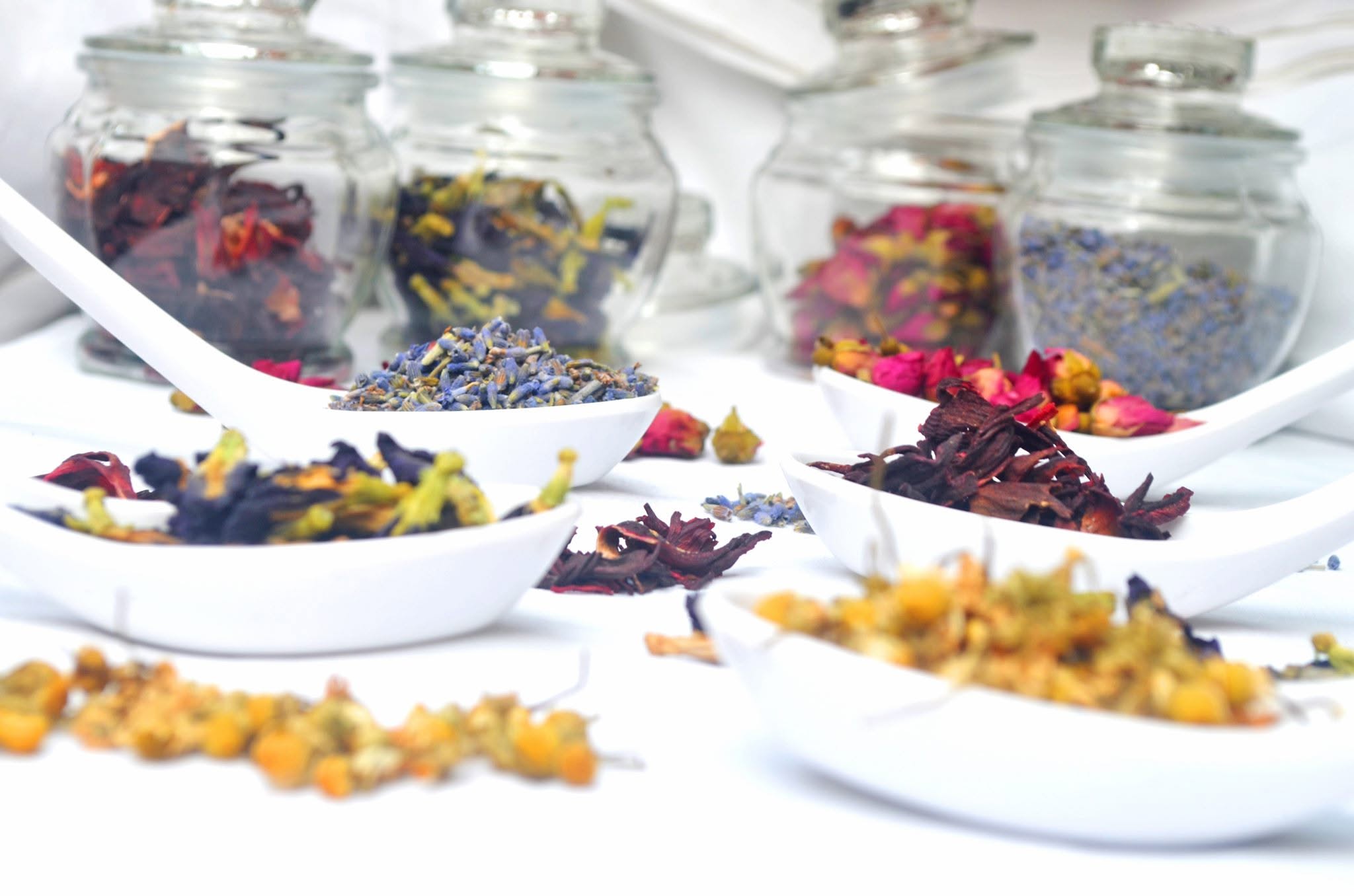 Dried herbs and flowers arranged in white spoons for herbal tea blending