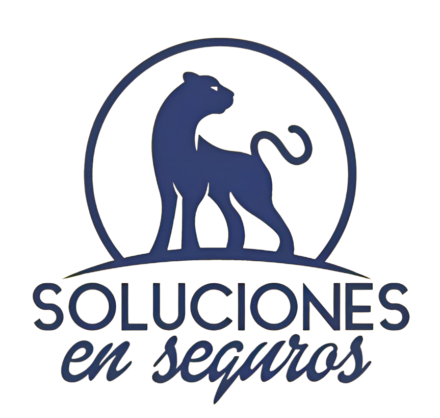 Logo Soluciones en Seguros